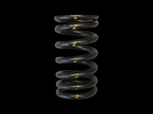 VALVE SPRINGS