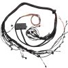 Elite 2000/2500 Toyota 2JZ Terminated Engine Harness