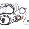 Elite 2000/2500 Terminated Harness for Nissan RB Twin Cam With CAS Harness