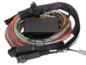 Elite 2500 & 2500 T Premium Universal Wire-in Harness - 3M                                        
Length: 3M (9.8')