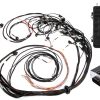 Elite 2500 + Terminated Harness Kit For Ford Falcon FG Barra 4.0L I6 Injector Connector: Factory Bosch EV1