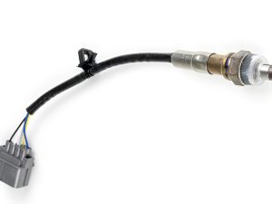 WB1 NTK - Single Channel CAN O2 Wideband Controller Kit Length: 1.2M (4ft)