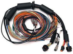 Nexus R3  Universal Wire-in Harness - 2.5m (8')                                         Length: 2.5M