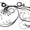 Nexus R5 LSx DBW Terminated Harness - DBW ready Injector Connector: EV6