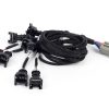 Nexus Rebel LS - LS EV1 Injector Sub-Harnes