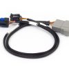 Nexus Rebel LS - Cable Throttle + IAC sub-harness