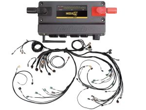 Nexus R5 VCU + LSx DBW Terminated Harness                                         Injector Connector: EV6