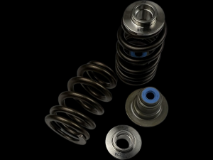 <b>BC0900X</b> - Polaris XP Turbo (16-up) / XP 1000 (14-up) Beehive Spring/Titanium Retainer/Seal Kit w/o Seats