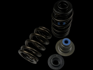 <b>BC0900SX</b> - Polaris XP Turbo (16-up) / XP 1000 (14-up) Beehive Spring/Steel Retainer/Seal Kit w/o Seats