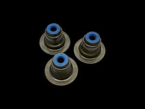 <b>BC3991-2</b> - Polaris Pro R Fury 2.0L Valve Stem Seat/Seals Designed for Stock Top Hat Seat
