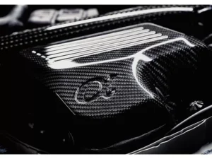 AMS Performance Carbon Intakes BMW M3 | M4 S55 3.0L Turbo Engine 2015-2020