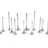 Ferrea 29mm 28 Deg Taper Flo Stock Super Alloy Exhaust Valve - Set of 8 Honda K20C1 1988-2018