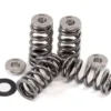 GSC Power-Division Beehive Valve Spring w/ Ti Retainer Audi RS3 Daza 2017+