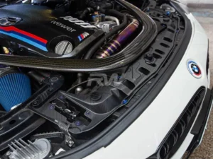 RW Carbon CF Radiator Support Brace BMW 2012+