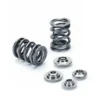 Supertech Set of 24 14.95mm Max Lift Dual Valve Spring Kit Nissan GT-R | GT-R Nismo GT3 2007+
