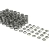 Skunk2 Silver High Lift Valve Springs and Titanum Retainer Toyota Supra | BMW S58 B58 2019+