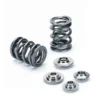 Supertech Dual Valve Spring Kit Scion FRS | Subaru BRZ | Toyota GT-86 2013-2017