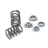 Supertech Single Valve Spring Kit Audi | Volkswagen 2.0L FSI EA113 2003-2022